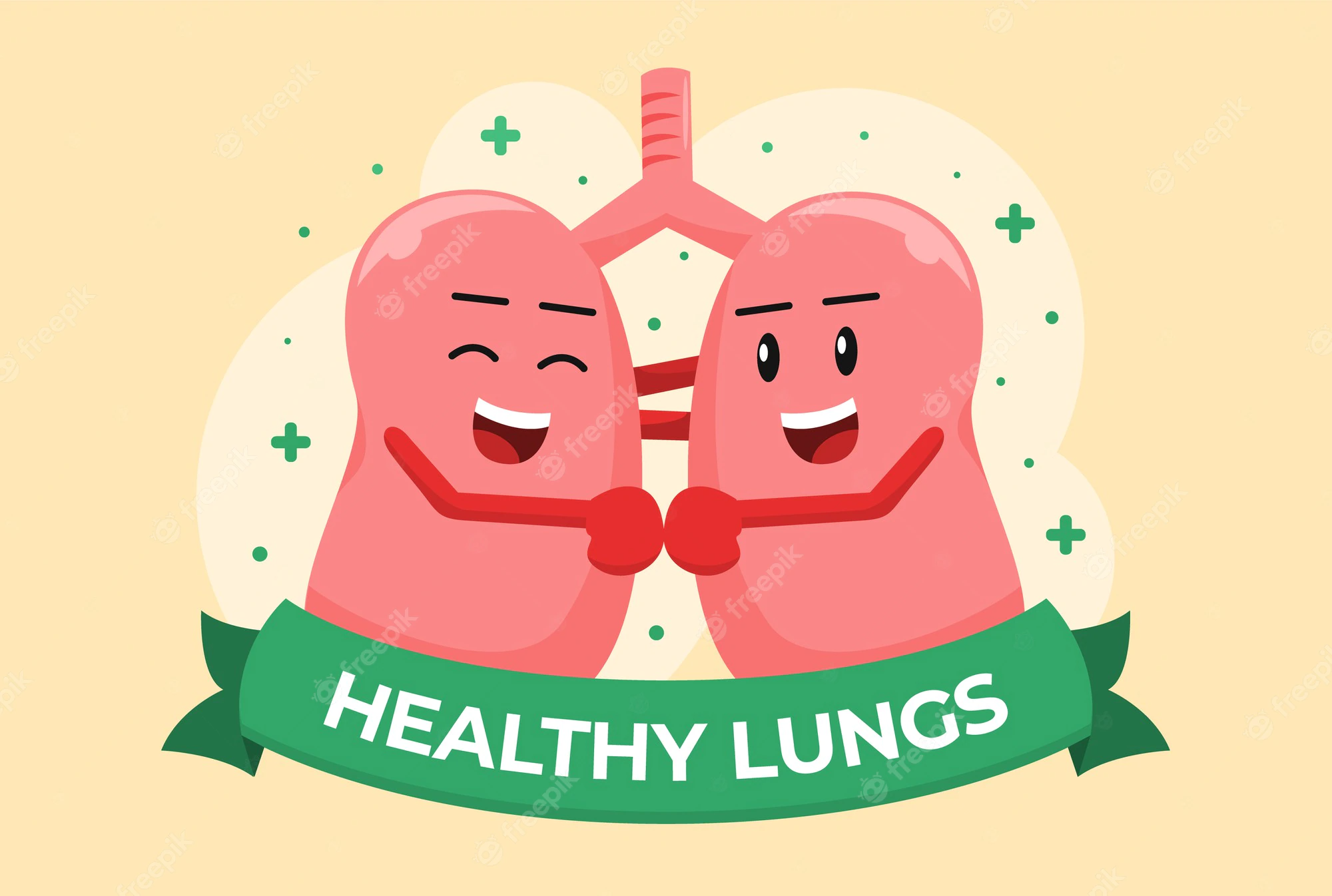 Premium Vector | Happy healthy lungs cartoon illustration