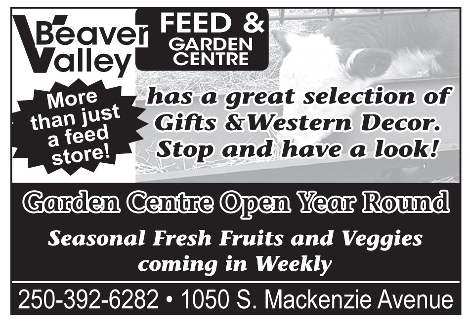 Please take a moment to visit our wonderful sponsors, Beaver Valley Feeds.  Click here.