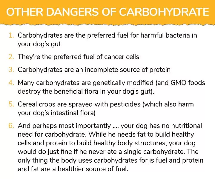 Dangers of carbohydrates in dogs