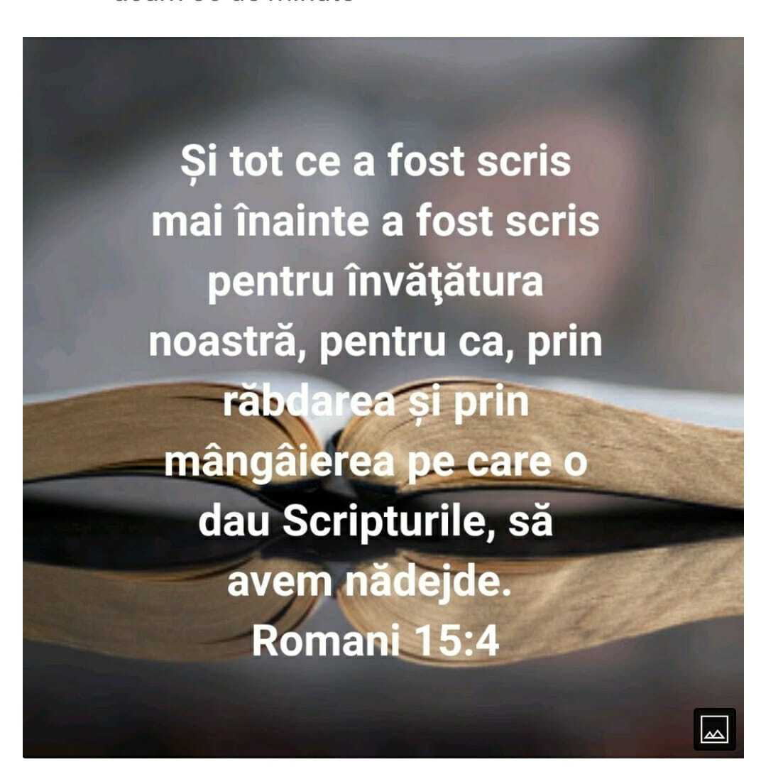 Schriftverse