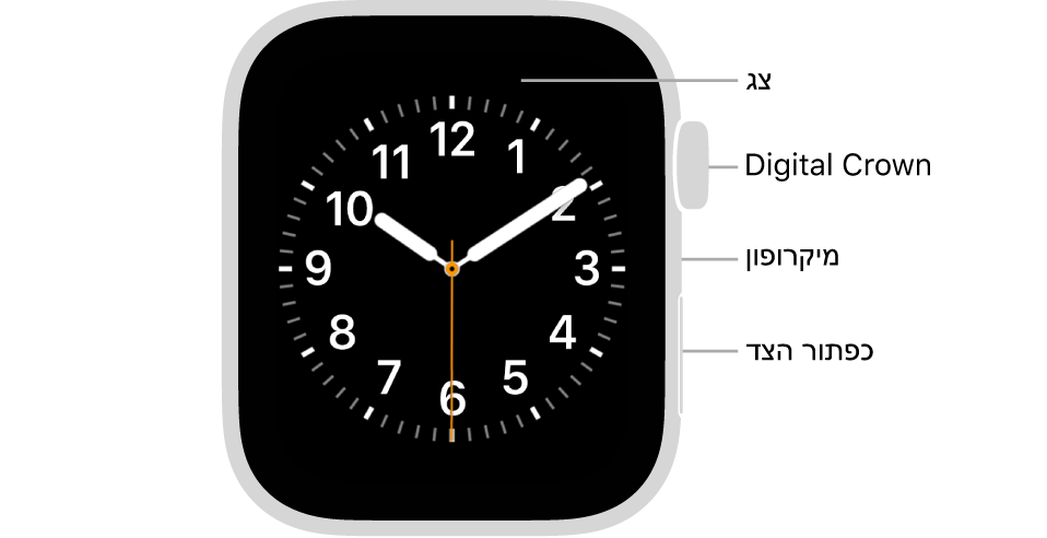 החלק הקדמי של הדגמים Apple Watch Series 4 ו-Apple Watch Series 5, כשעל הצג נראה עיצוב השעון, וה-Digital Crown, המיקרופון וכפתור הצד מלמעלה למטה בצדו של השעון.
