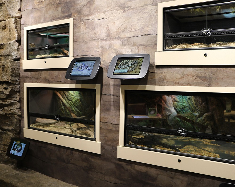 Schramm State Park uses touchscreens to educate and inform visitors about the flora and fauna of the surrounding area.