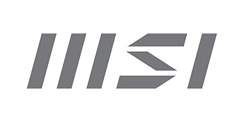 MSI