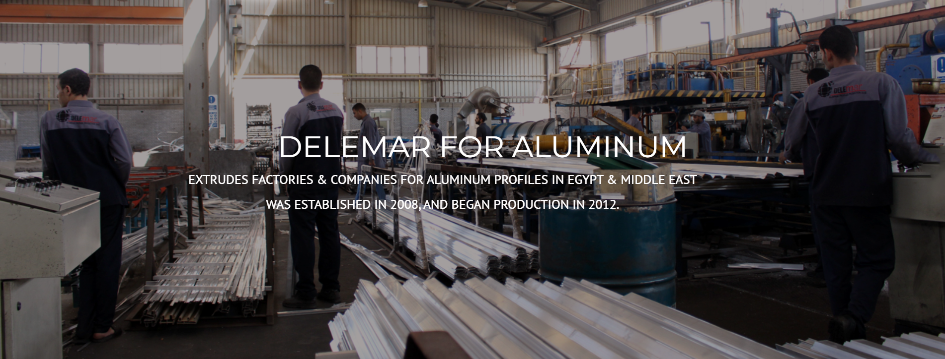 Figure 1  The Egyptian industrial group Delemar 
