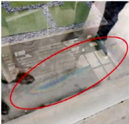 Figure 2 Newton's rings near the spot of insulating glass