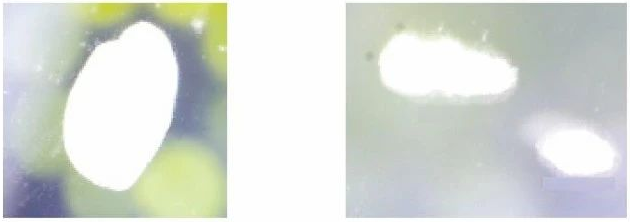 Figure 1 Enlarged photo of the glass spot in the center of the insulating glass plate