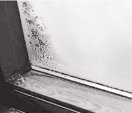 （a）The condensation on external surface