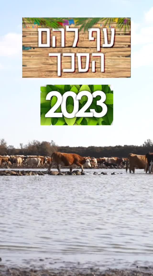 בואו תקבלו הצצה לטירוף מסוכות האחרון!   thumbnail
