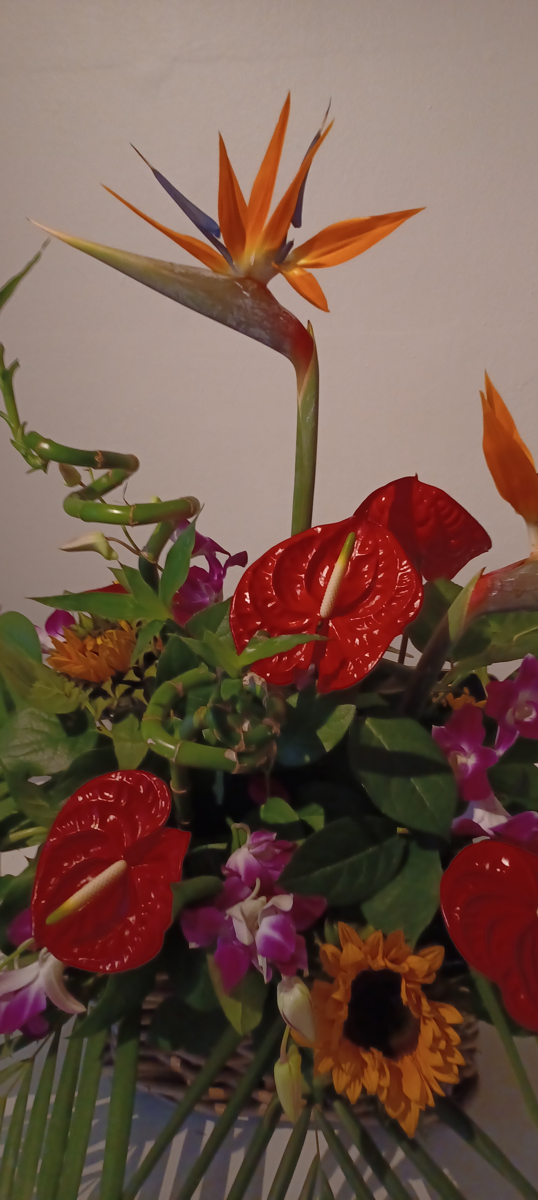 Exotic flower arrangements 