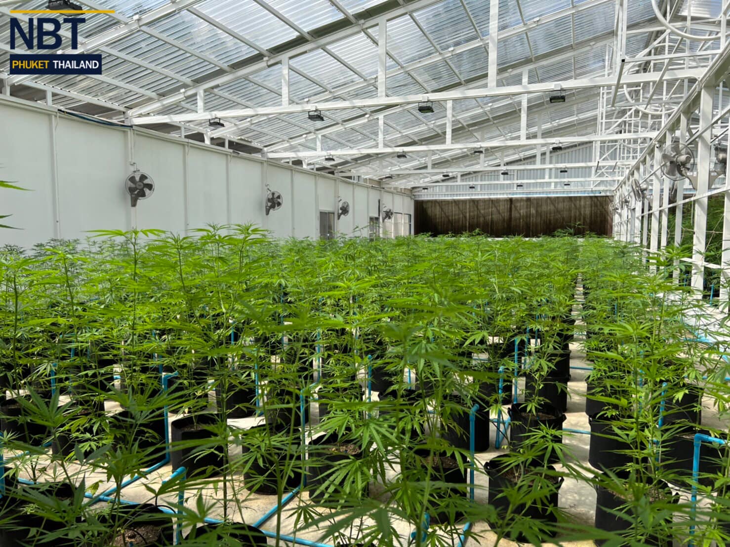 Farm visit from NBT station