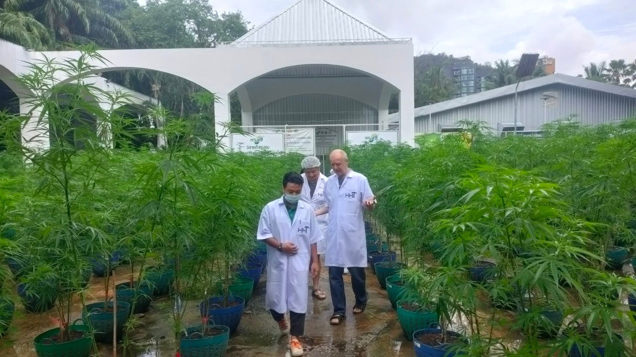 Visit a farm from a Taiwanese tourist