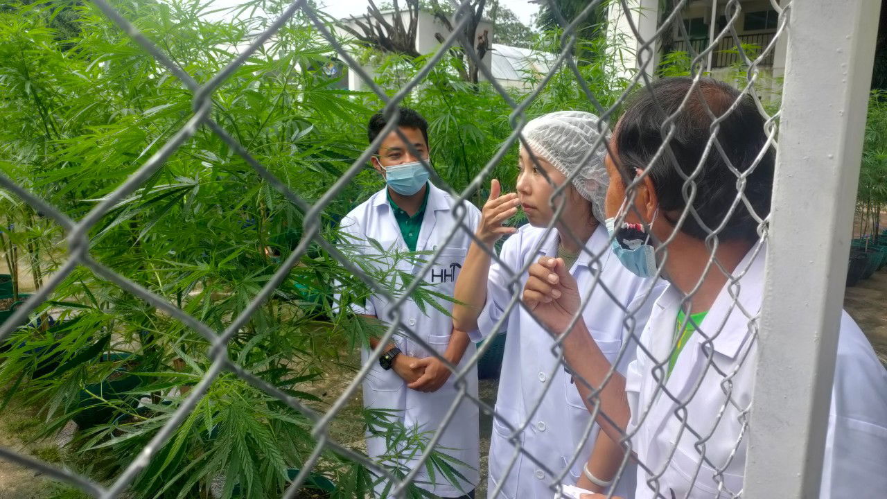 Visit a farm from a Taiwanese tourist