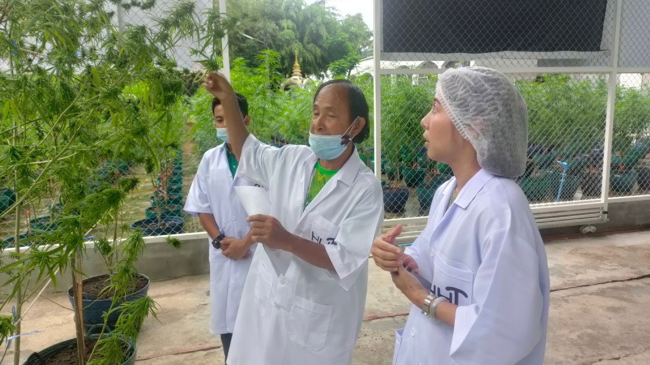 Visit a farm from a Taiwanese tourist