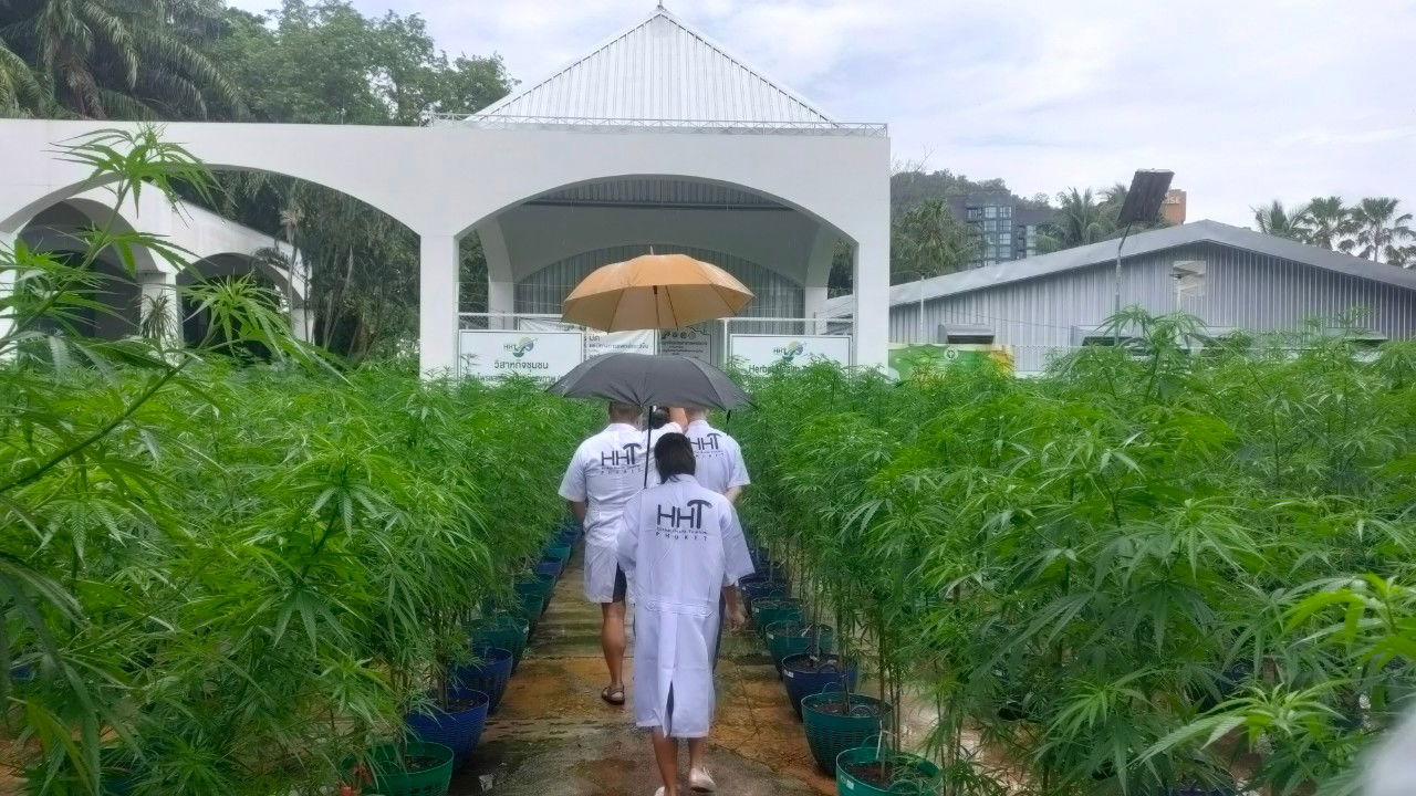 Visit a farm from a Taiwanese tourist