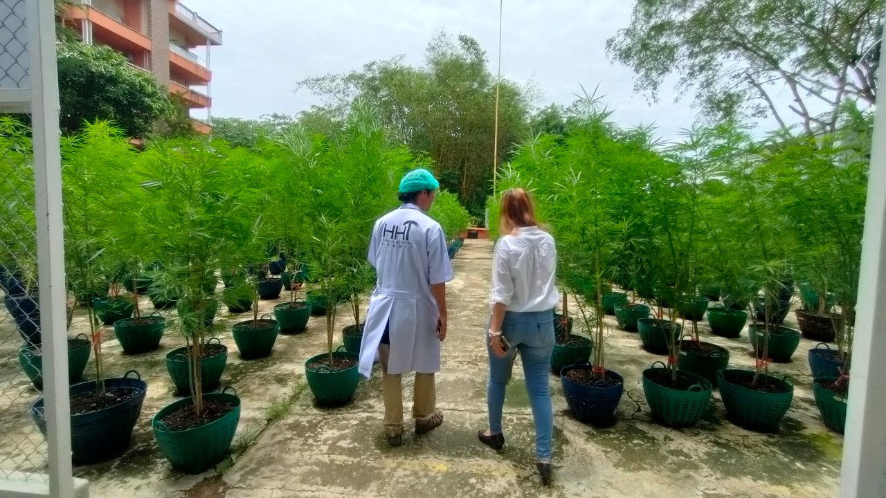 Farm visits from Japanese tourists