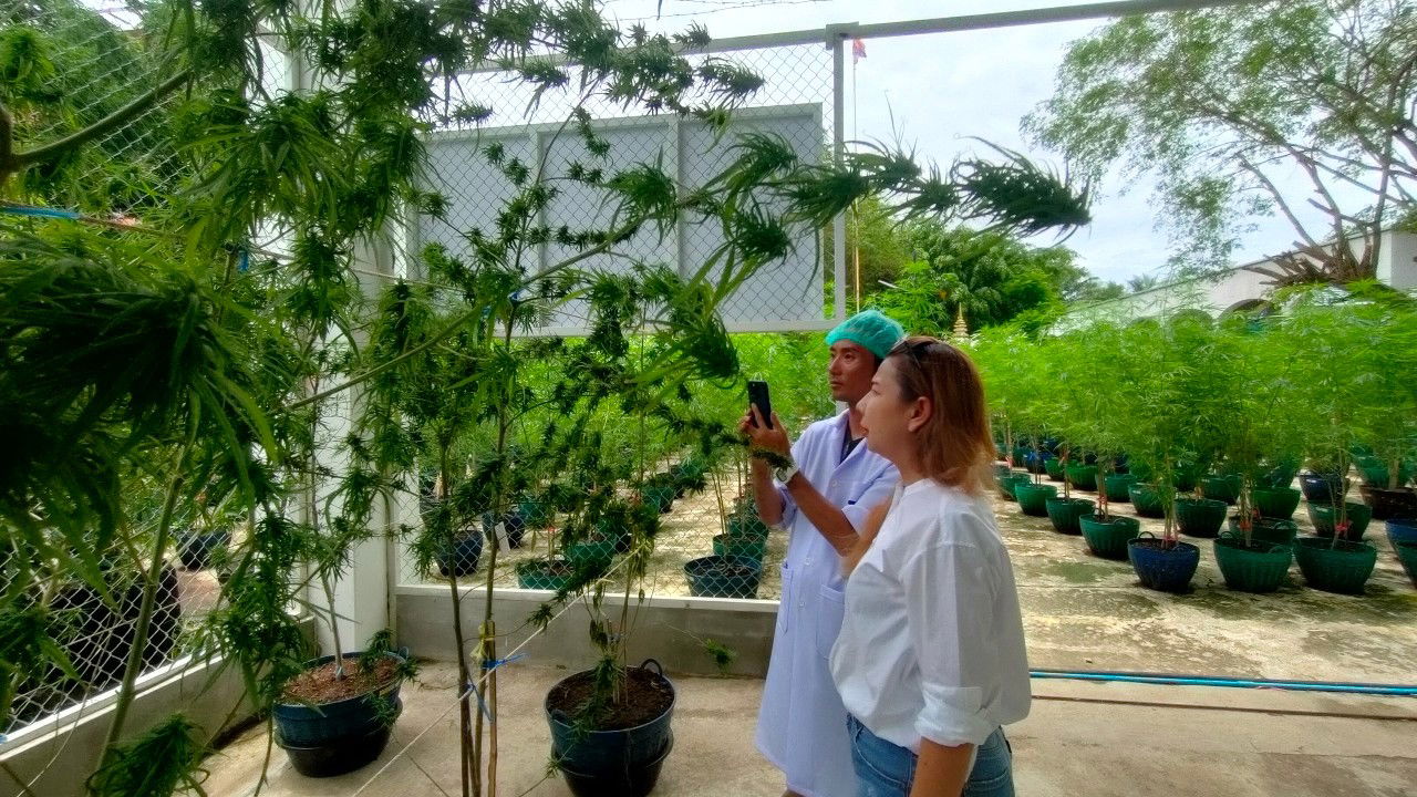 Farm visits from Japanese tourists