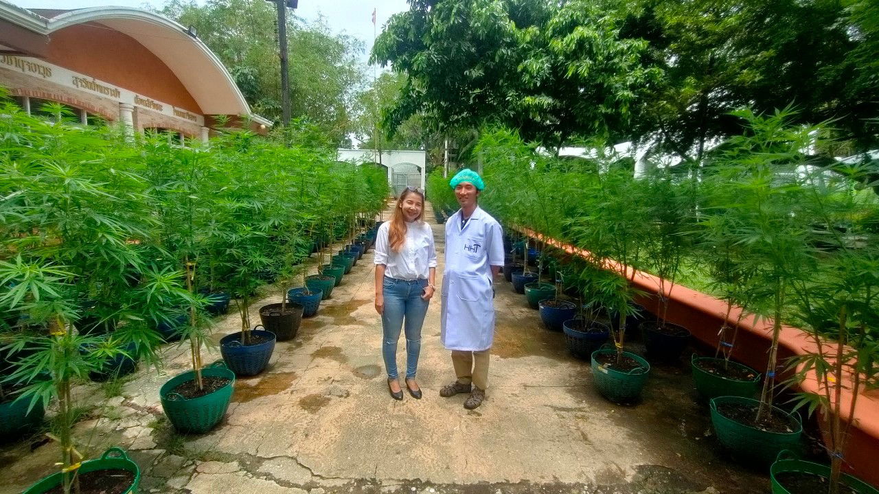 Farm visits from Japanese tourists