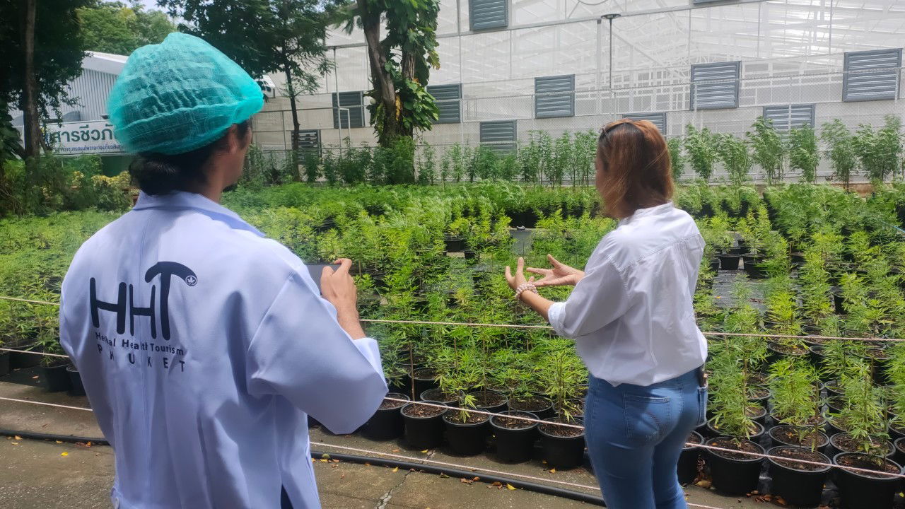 Farm visits from Japanese tourists