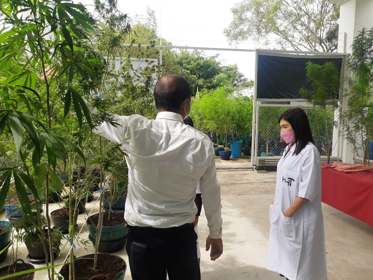 farm visit from tourists