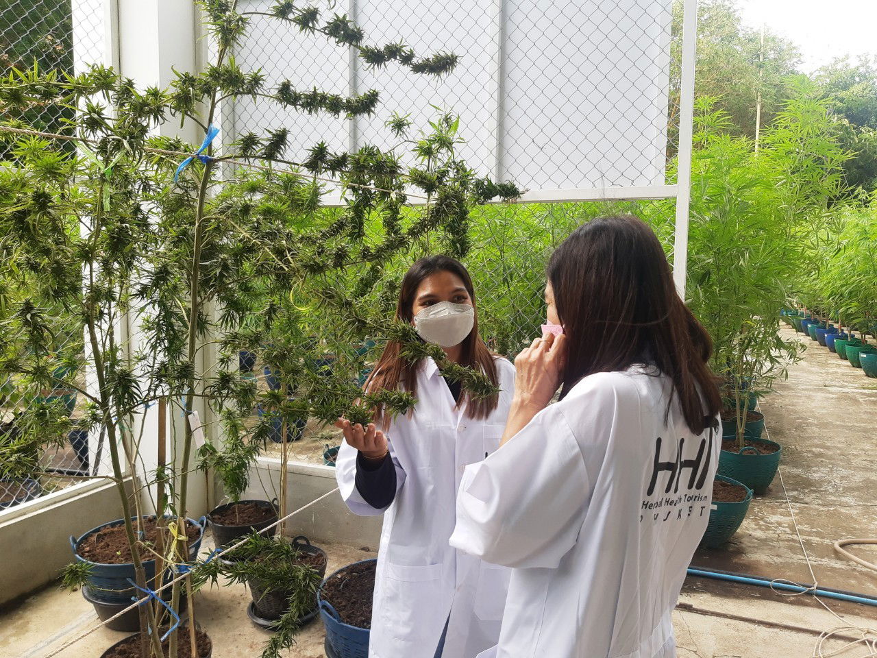 farm visit from tourists