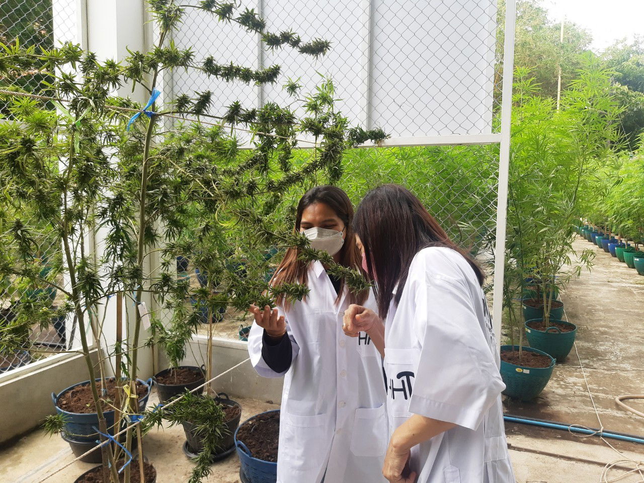 farm visit from tourists