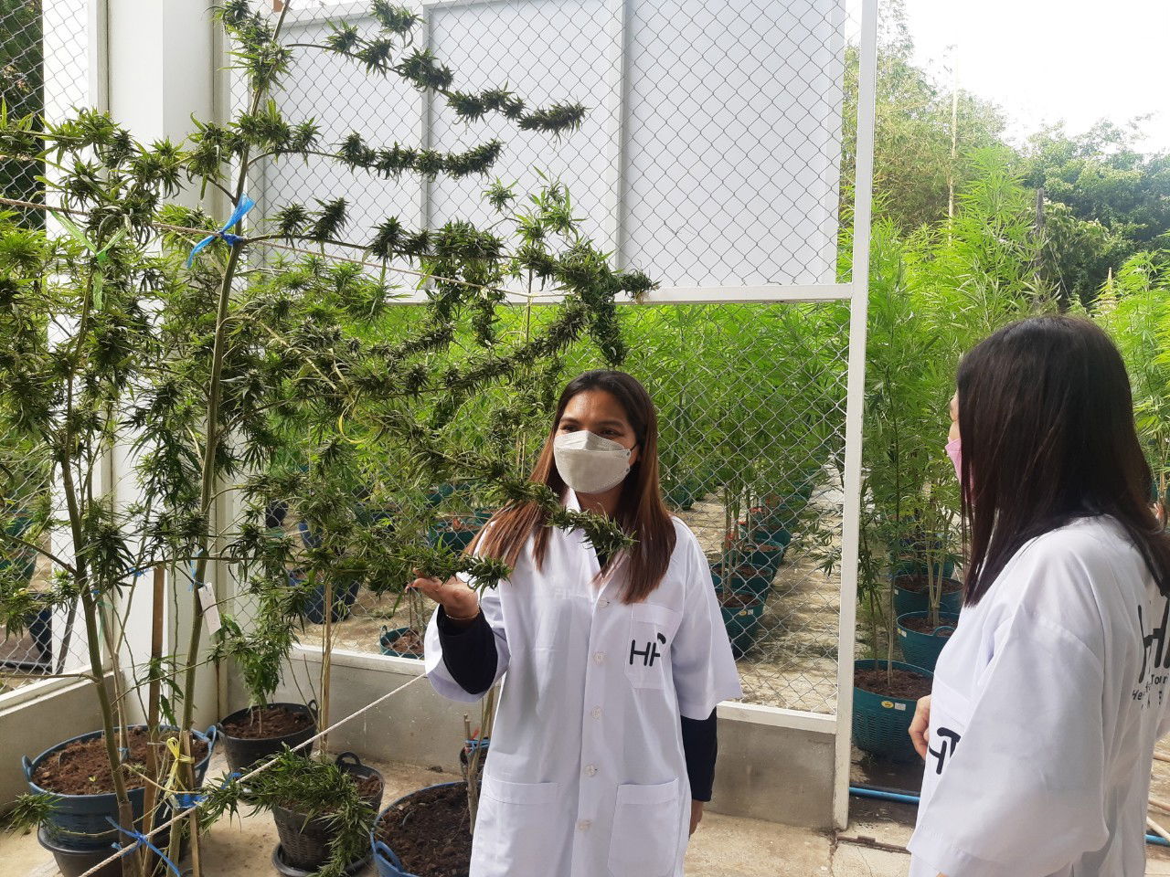 farm visit from tourists