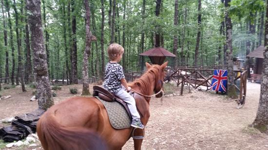 Оазис Эрничи