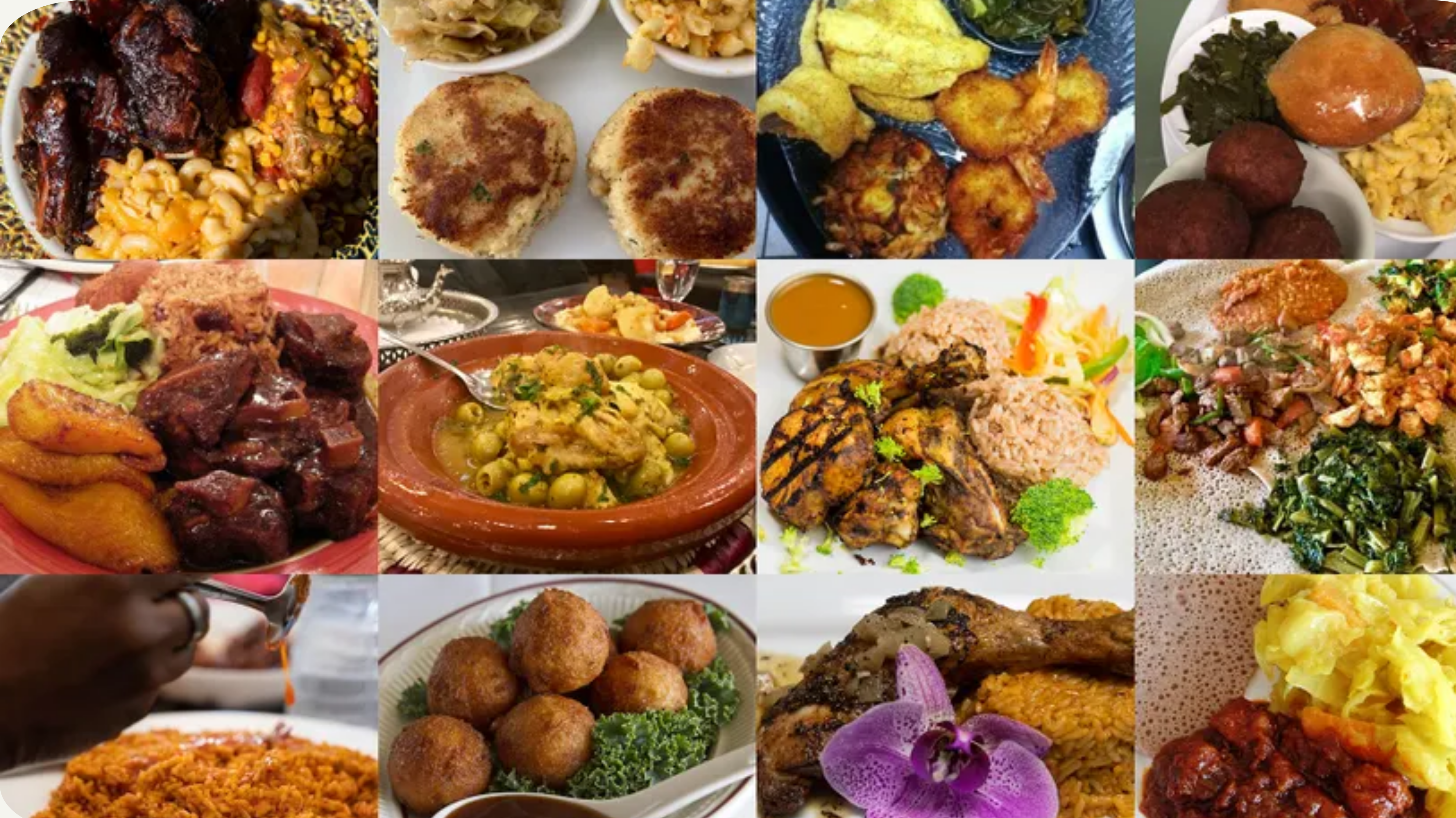 Spark the Change: Enjoy, Learn, and Make a Difference!