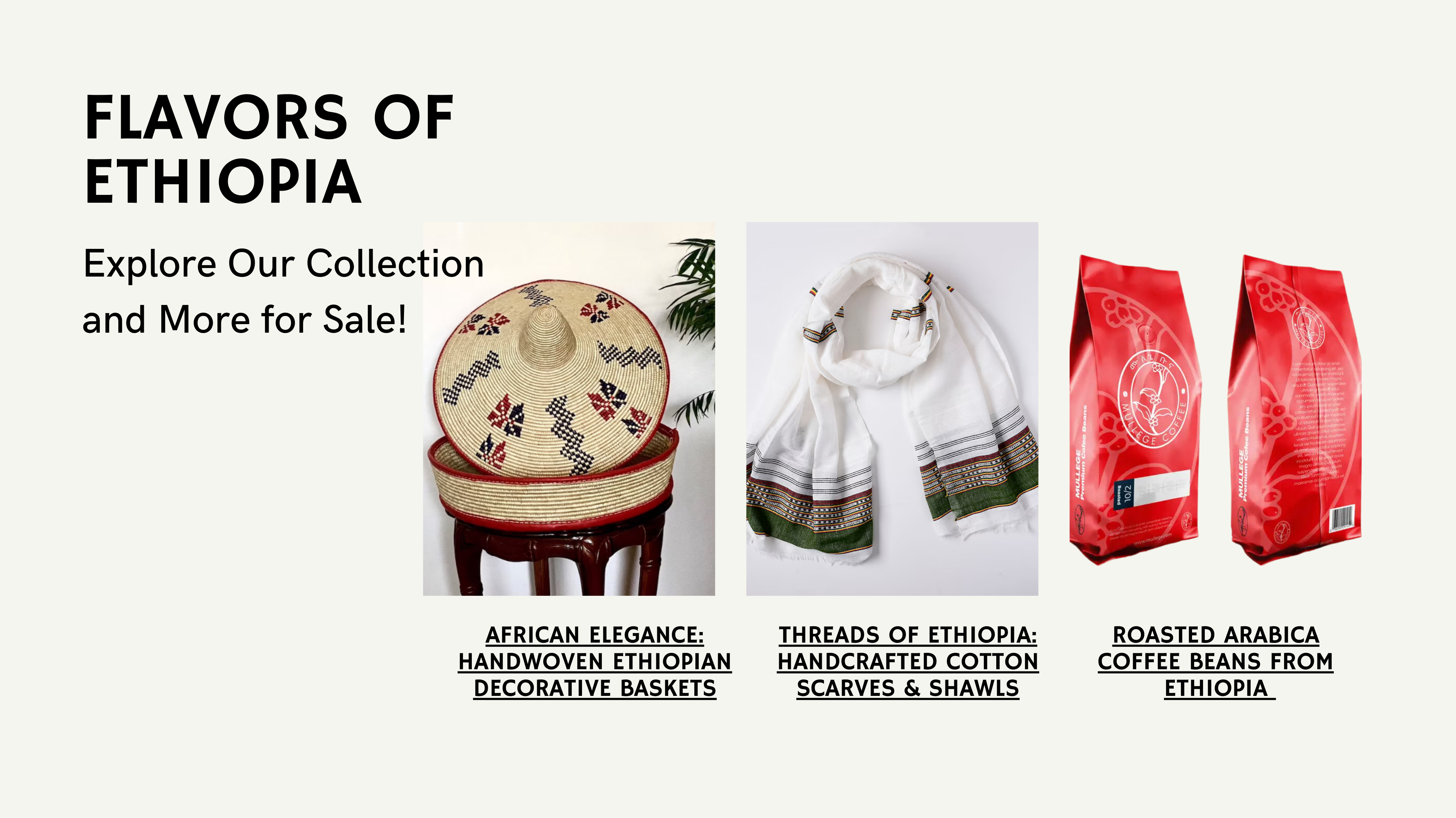 Spark the Change: Enjoy, Learn, and Make a Difference!