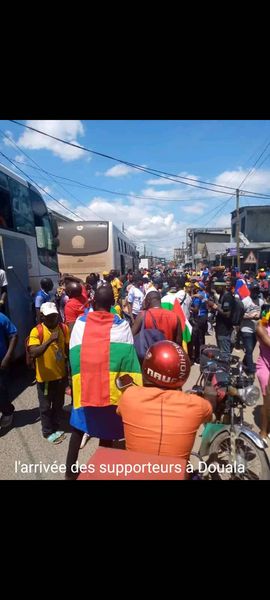 Die wedstryd word vooraf gewen, gaan in vrede wilde diere