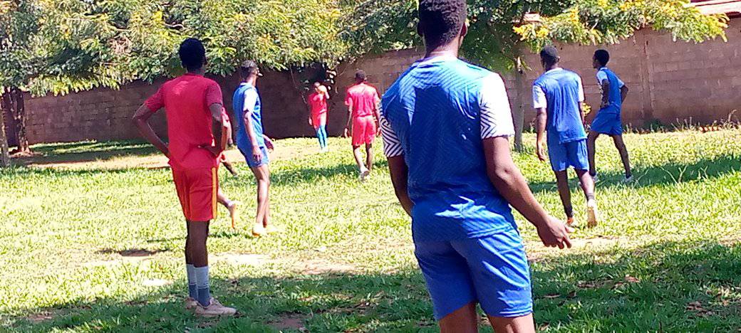 Die wedstryd word vooraf gewen, gaan in vrede wilde diere