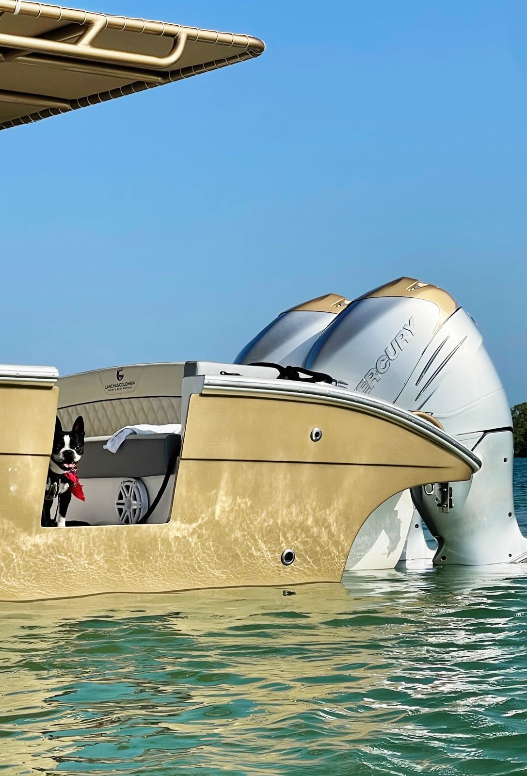 sport boat