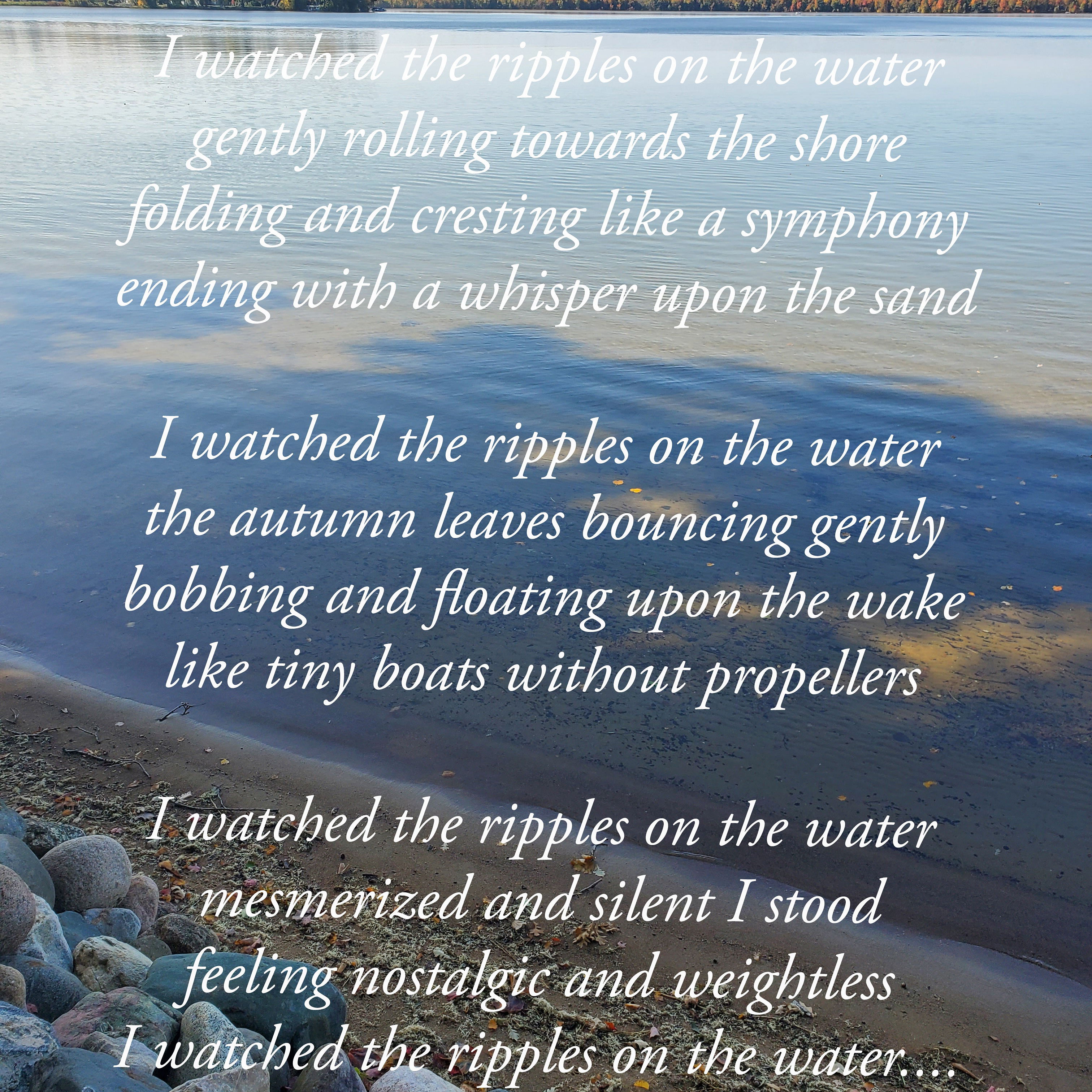 Ripples On The Water By Stacie Madison Stacie Madison Living