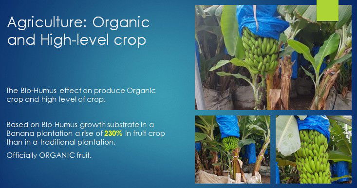 Bio-Humus (vermicompost) - Wormarvel Group