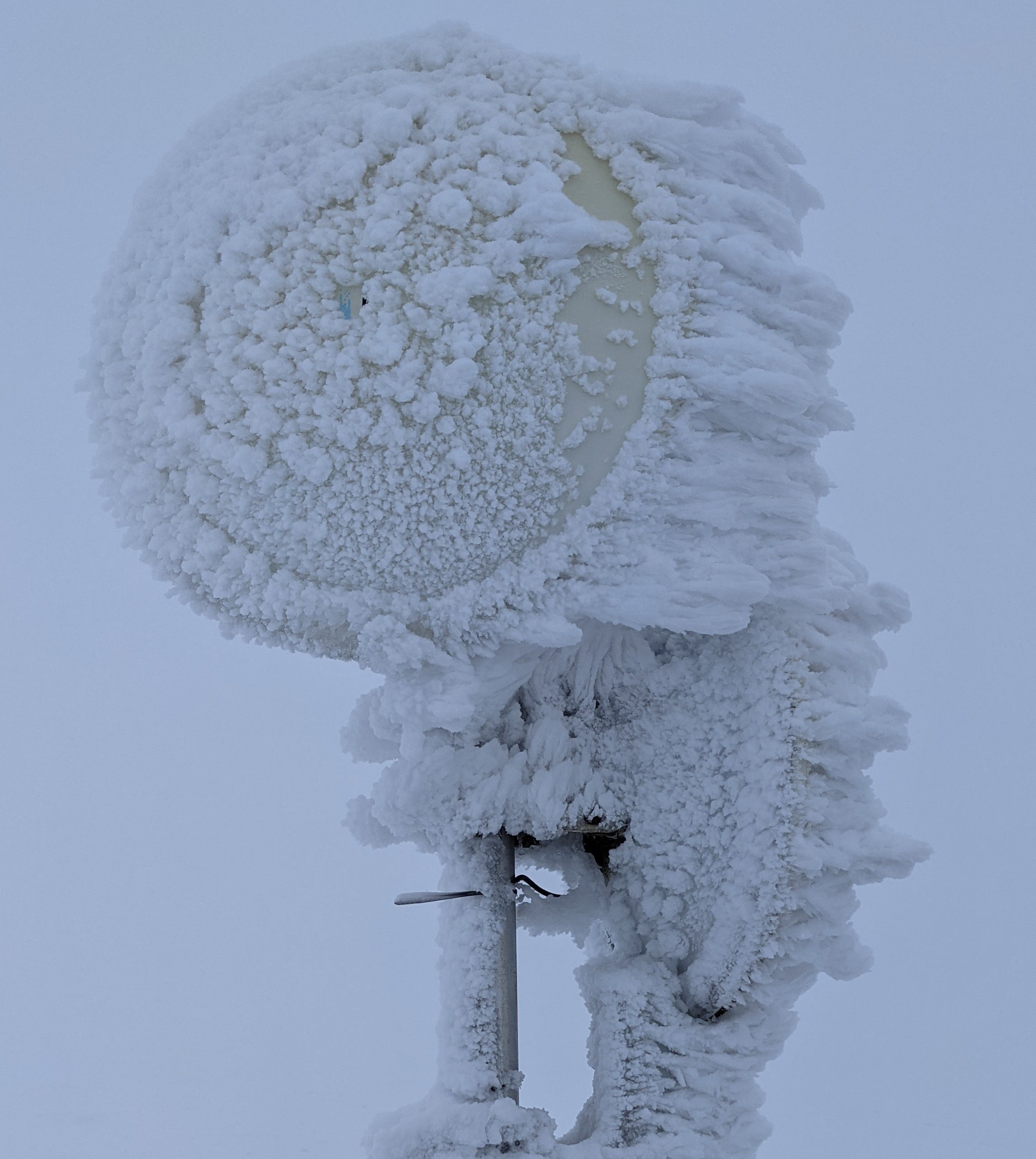 Close up of the antenna dishes