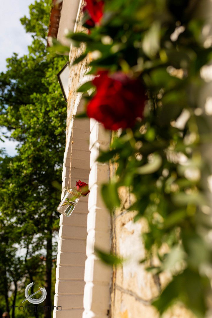 Giannis & ALiki - Red Roses