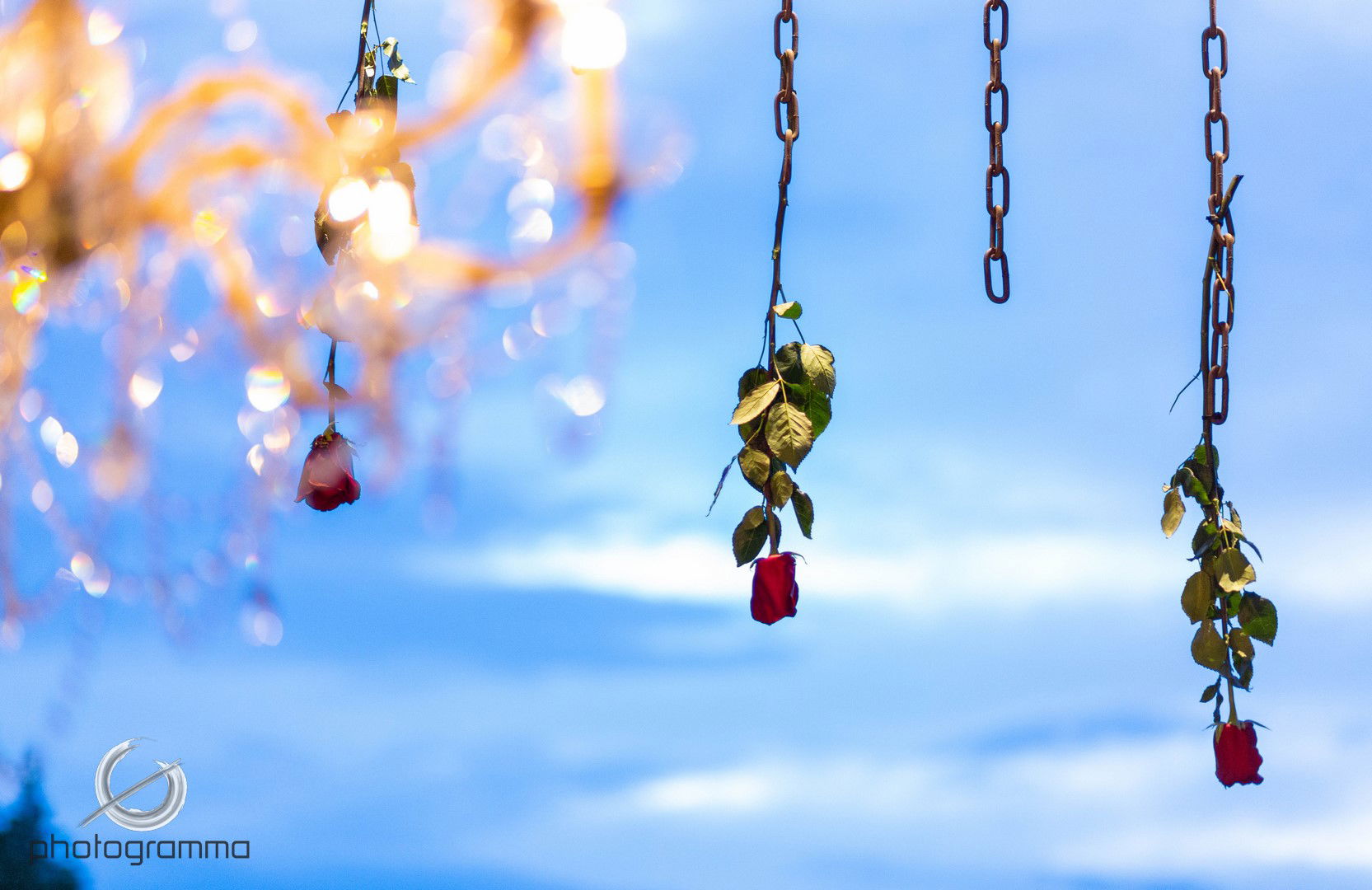 Giannis & ALiki - Red Roses