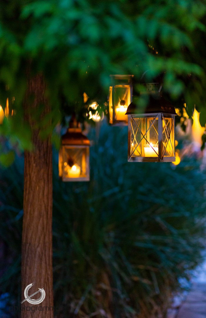 Giannis & ALiki - Red Roses