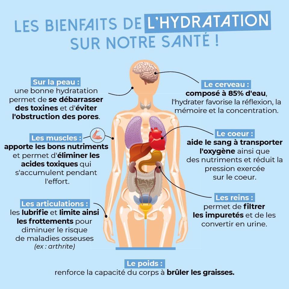 R le De L Hydratation Bienfaits De La Bonne Hydratation AJRATW