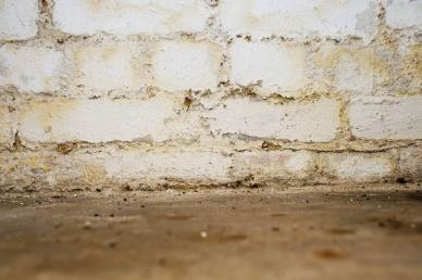 Kellersanierung: Feuchtigkeit im Untergeschoss Feuchte Kellerwand aus Stein