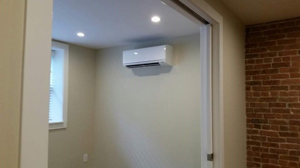 맨해튼 | 베이사이드 | 작은 목 | 홍조