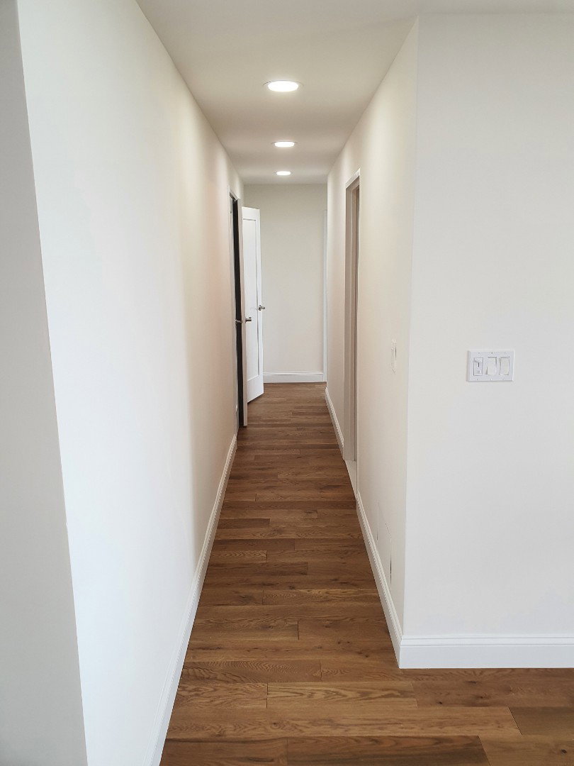 맨해튼 | 베이사이드 | 작은 목 | 홍조