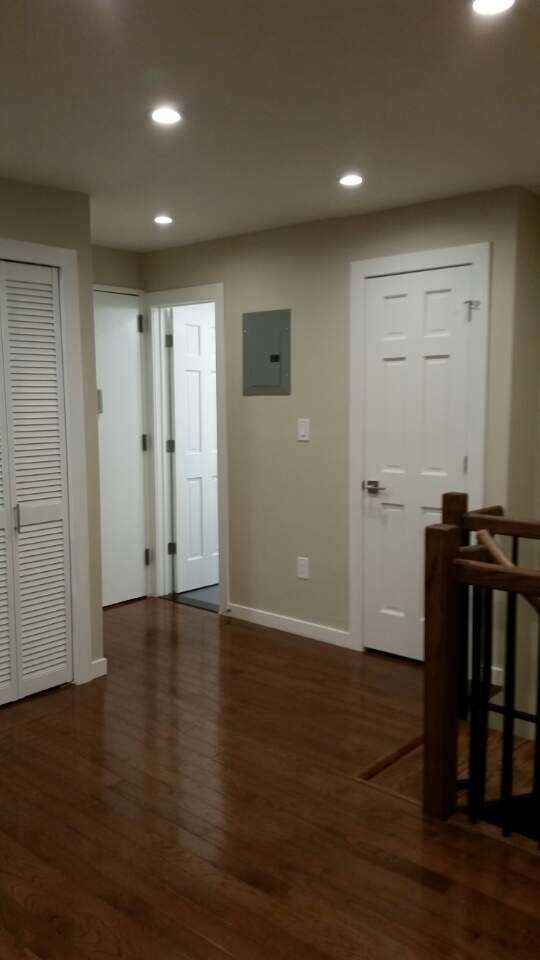 맨해튼 | 베이사이드 | 작은 목 | 홍조