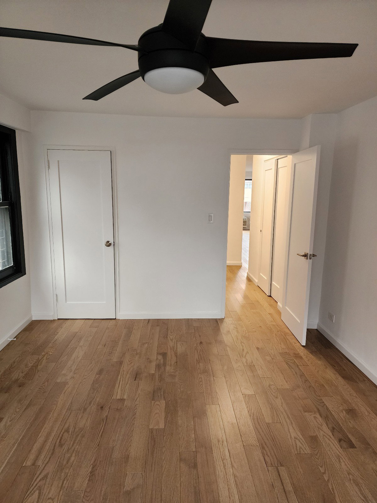 맨해튼 | 베이사이드 | 작은 목 | 홍조