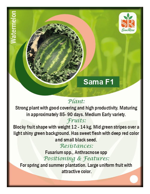 مؤسسة النقد العربي السعودي