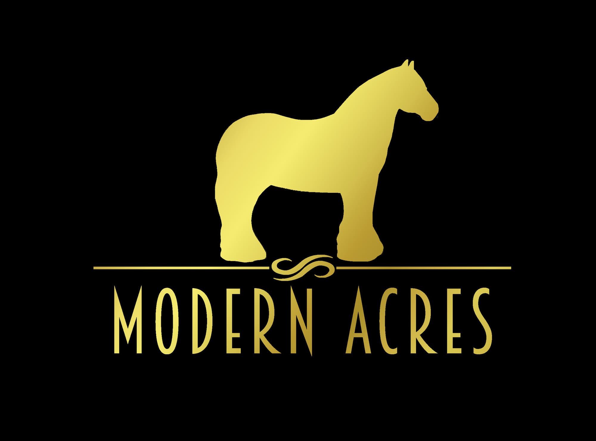 California Feathered Horse Classic DOUBLE JUDGED  Feathered Horse