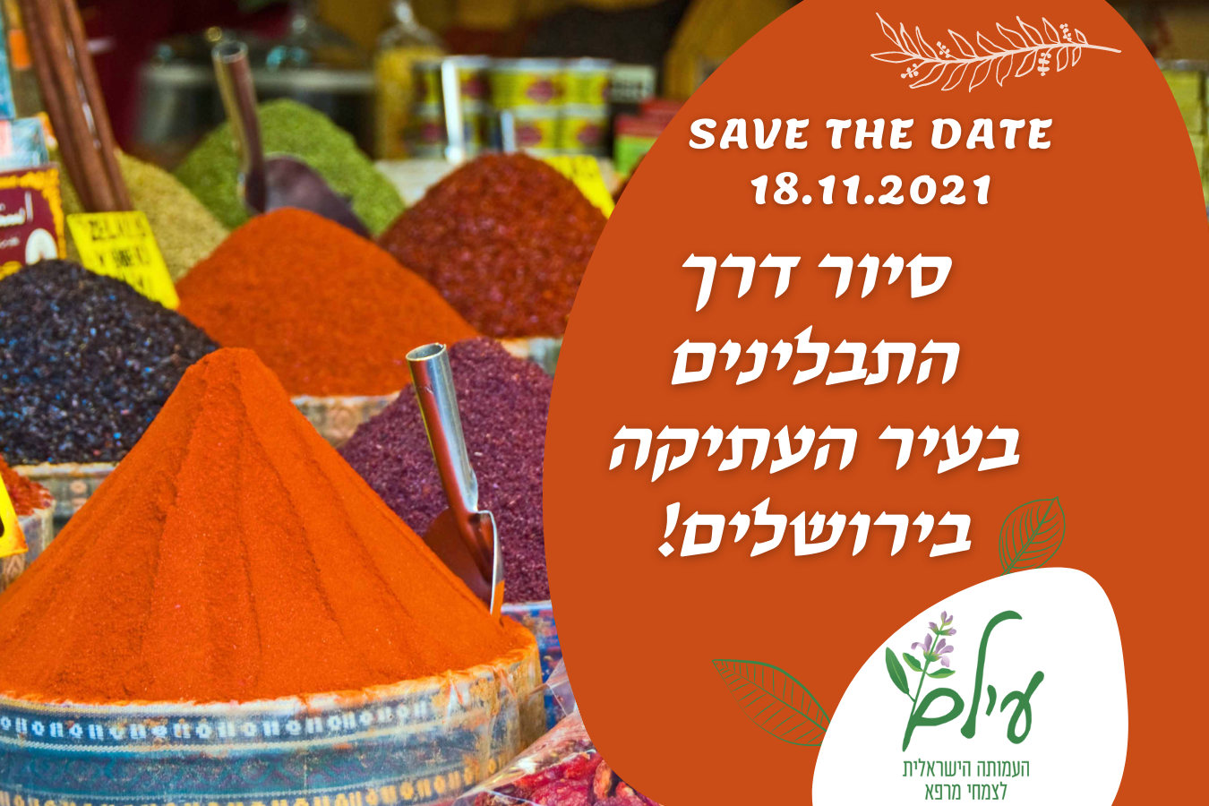 Designs and publications