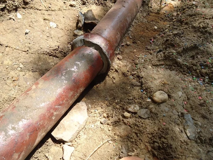 Quick Drains Manchester 24Hr Tree Roots in Drains Cutting & Removal