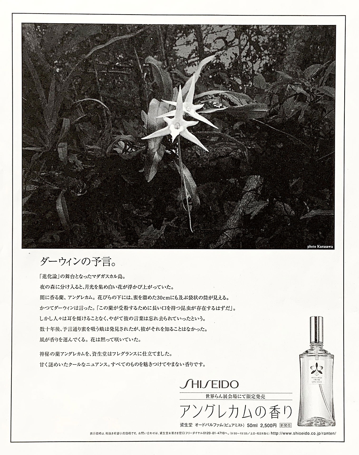 [Shiseido perfume Perfume]