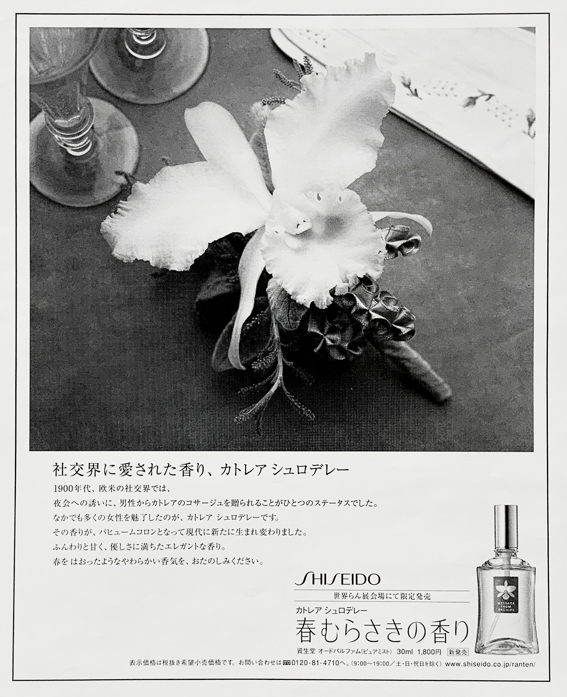 [Shiseido perfume Perfume]